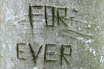 Tree-forever